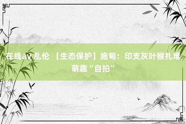 在线av 乱伦 【生态保护】施甸：印支灰叶猴扎堆萌趣“自拍”