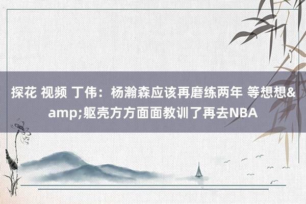 探花 视频 丁伟：杨瀚森应该再磨练两年 等想想&躯壳方方面面教训了再去NBA