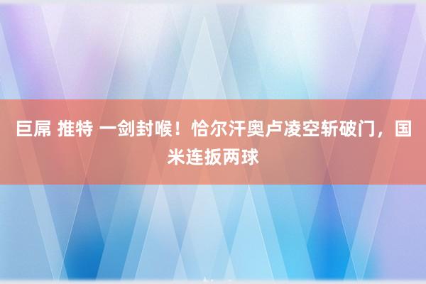 巨屌 推特 一剑封喉！恰尔汗奥卢凌空斩破门，国米连扳两球